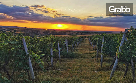 Релаксираща почивка край Русе: 2 или 3 нощувки със закуски, плюс SPA зона и 5-степенна винена вечеря, с. Мечка