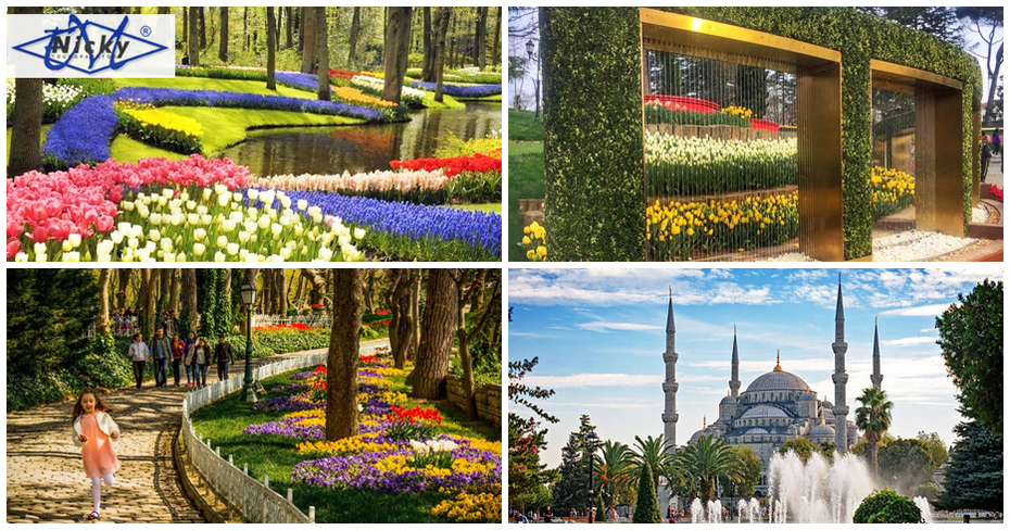 През Април за Фестивала на лалето в Истанбул: 2 нощувки с 3 закуски и 2 вечери в хотел 3*, плюс транспорт и посещение на Одрин, от Nicky M