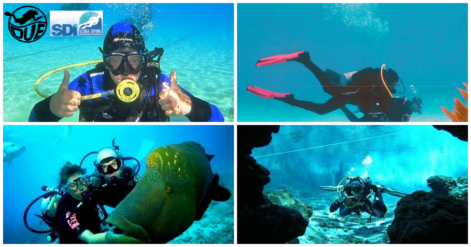 Пробно водолазно гмуркане Scuba Discovery в Созопол – с екипировка, инструктор и видеозаснемане, от Водолазен център Due Пробно водолазно гмуркане Scuba Discovery в Созопол – с екипировка, инструктор и видеозаснемане, от Водолазен център Due