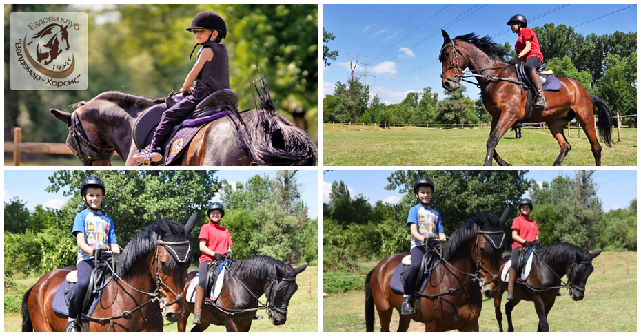 30-минутен урок по конна езда с треньор – за начинаещи или напреднали, от Ездови клуб Валдемар-Хорсис, с. Герман