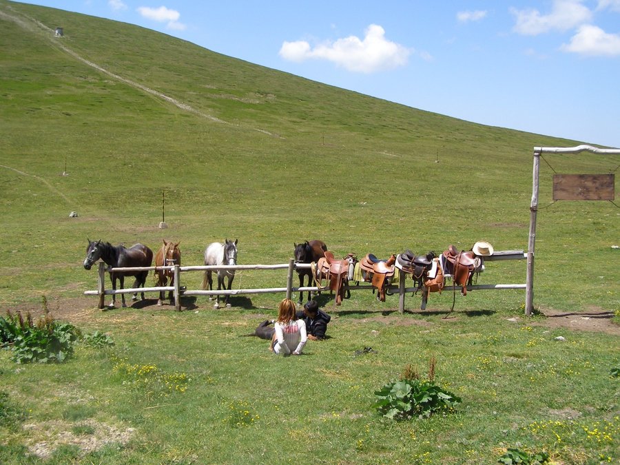 Ферма "Подковите" - Карлово | Опознай.bg