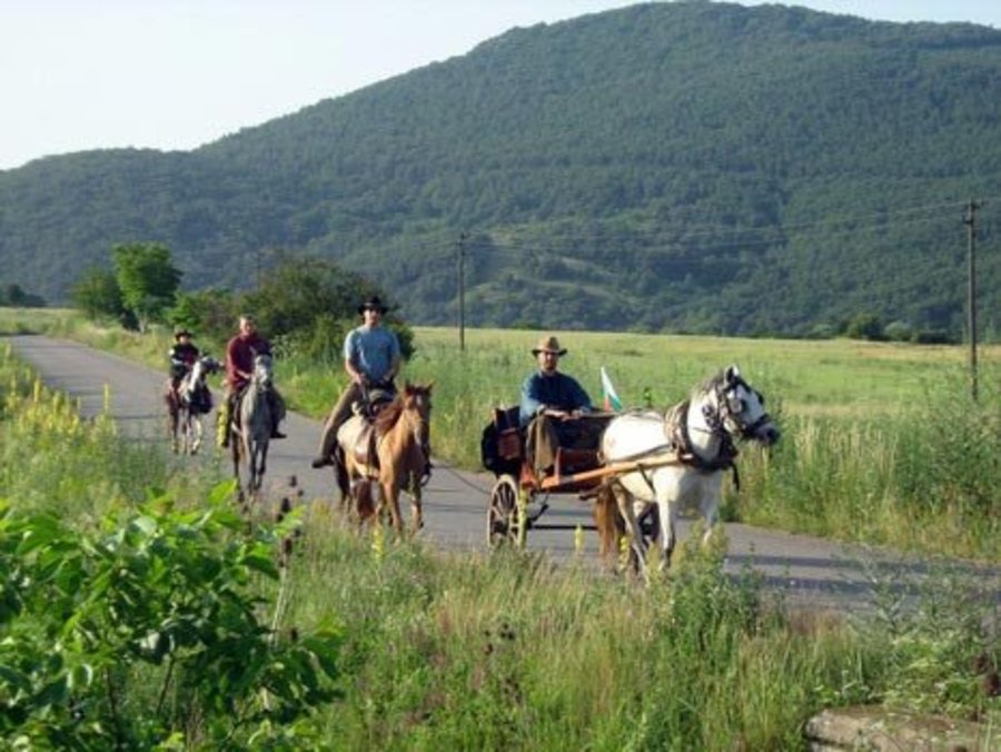 Ранчо аргудан кбр фото