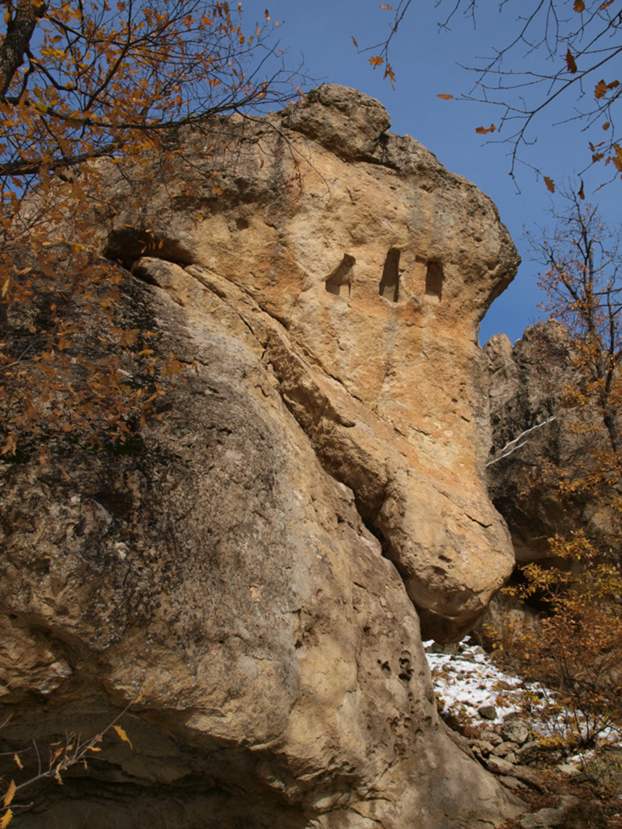 Небная дужка фото